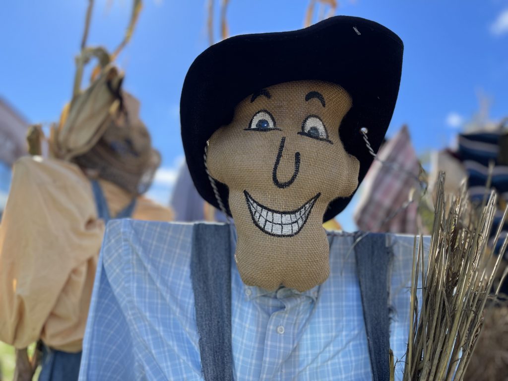 Scarecrow of a farmer